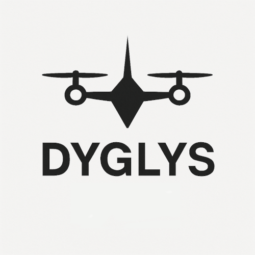 Dyglys.lt logo
